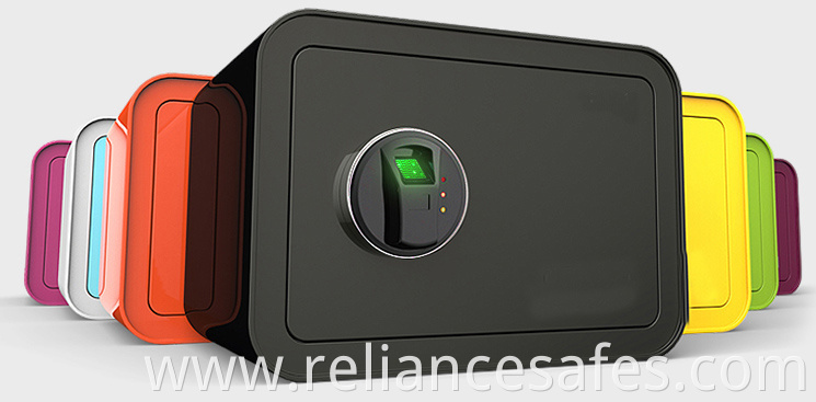 Mini Biometric safe